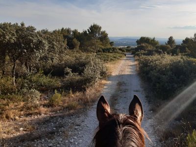 Stud De Lagnes