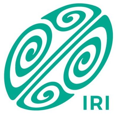 Irish Rugby Institute