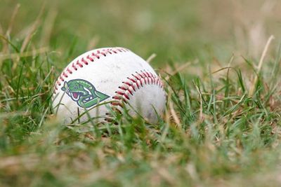 Welland Minor Baseball Association