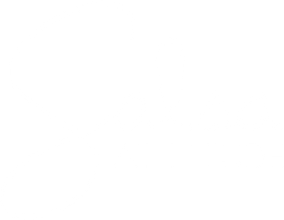 Salsa Attitude