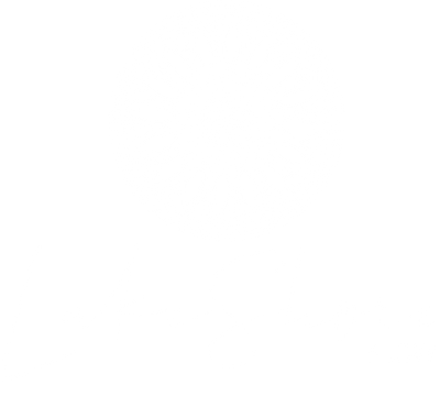 LakeShore Flow