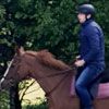 Oakwood Stables