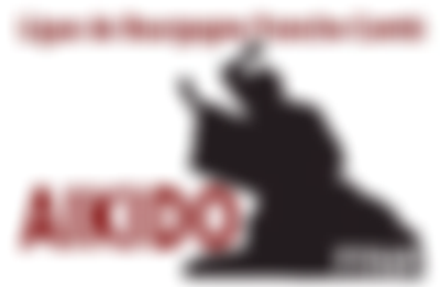 Seishinkan Aikido Varennes Vauzelles Seishinkan Aikido Varennes Vauzelles