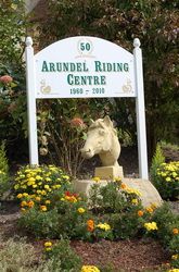 Arundel Farm Riding Centre