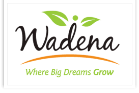 Wadena Swimming Pool