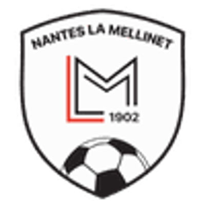 The Mellinet Football