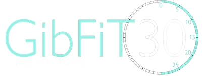 Gibfit 30