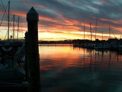 Tauranga Marine Charters