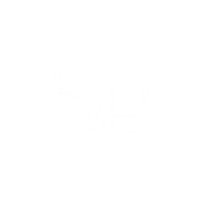 Velvet Antler Productions