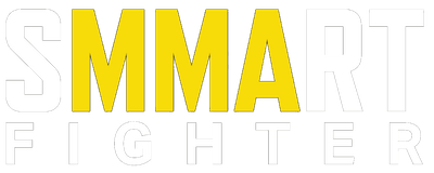 Smmartfighter