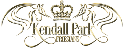 Kendall Park Friesians