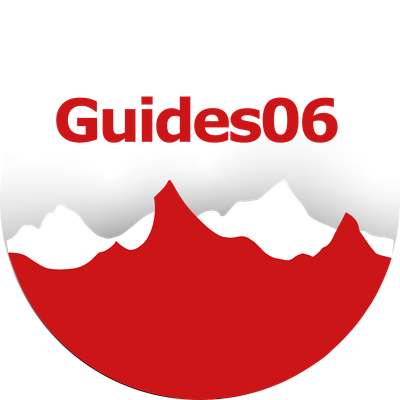 Guides 06