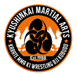 Kyushinkai Martial Arts and Fitness Centre