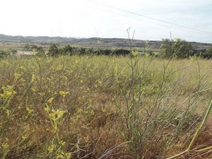 Terrain Galou