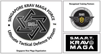 Singapore Krav Maga Force Singapore Krav Maga Force