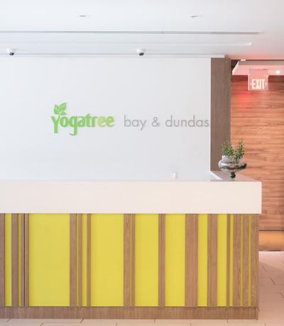 Yoga Tree Bay Dundas