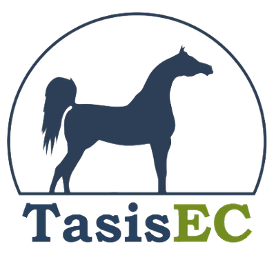 Tasis Equestrian Centre Tasis Equestrian Centre