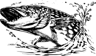 international fishing centre