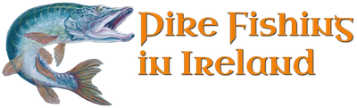 Tir na Spideoga Guesthouse Tir na Spideoga Guesthouse