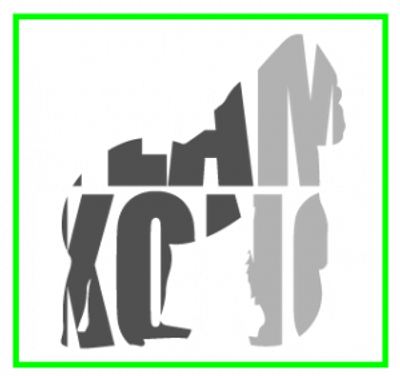 TEAM KONG COACHING TEAM KONG COACHING