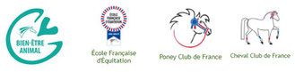 PONEY CLUB DE PIED BERCY