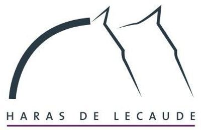 Stud De Lecaude