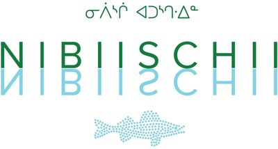 Rserve faunique Assinica