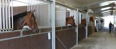 The Green Mare
