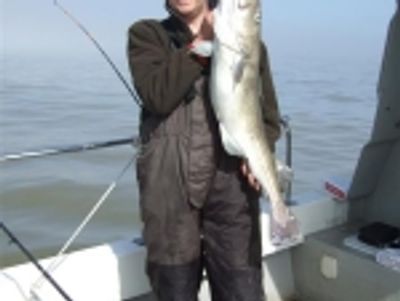 Dawn raider charters