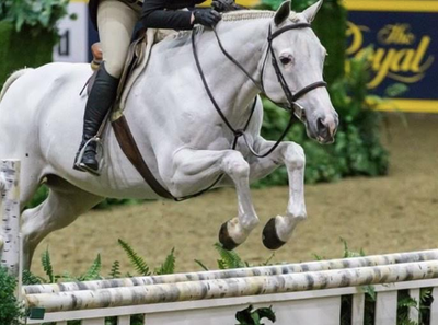 Toronto Equestrian