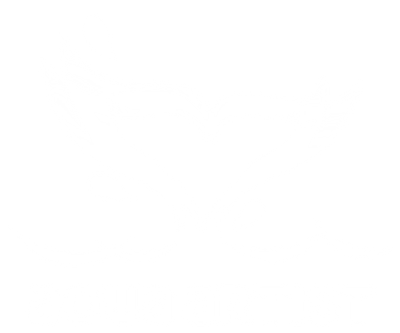 Aqua Artist