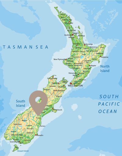 Real Kiwi Horse Trekking