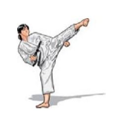 South East Australian Taekwondo