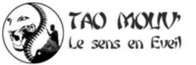 Christophe JOSEPH-MATHIEU - Cours de Tai Chi Chuan & Soins énergétiques Chinois