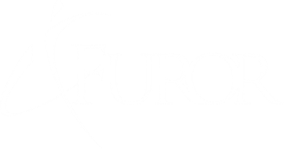 Furor Pune Salsa
