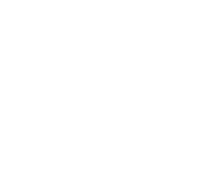 Pilates Classes Wales
