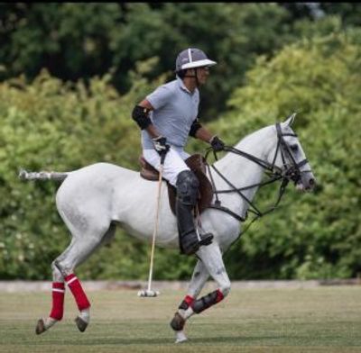 Fifield Polo Club