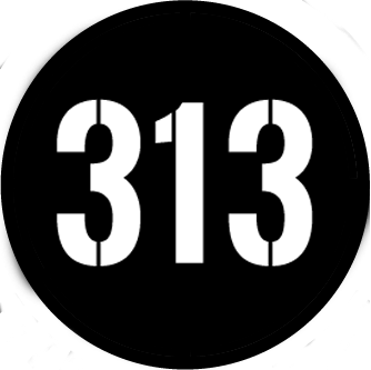 313 Fitness