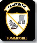 Park Celtic Summerhill FC - Summerhill pitch