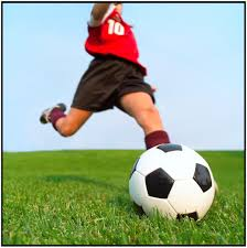 Terrains de soccer