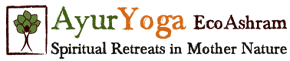 Ayur Yoga Centre