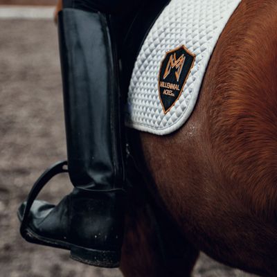 Millennial Acres LTD Equestrian- Horse Lessons