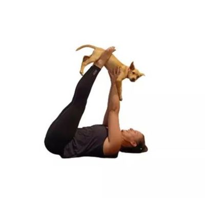 Pilates Platform