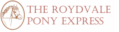 Roydvale Pony Club