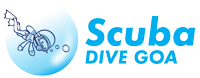 Scuba Diving Goa