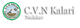 CVN Kerala Kalari Sangam - 6th Mile