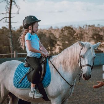 Godwin Equestrian