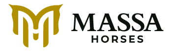 MASSA Horses
