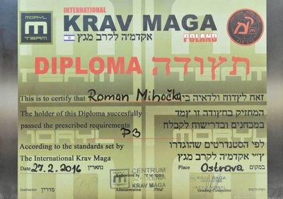 Krav Maga
