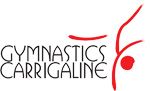 Gymnastics Inc.